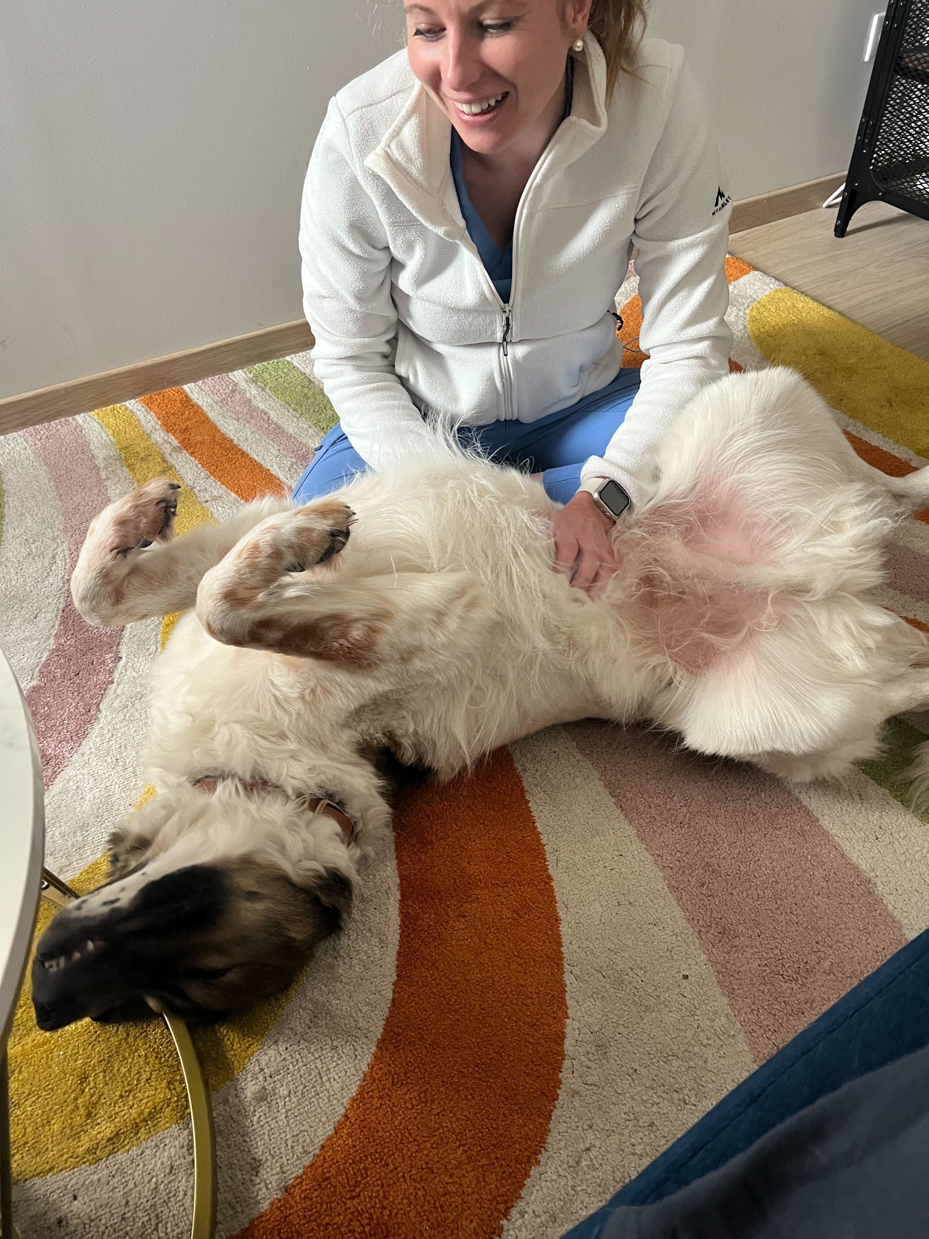 ostéopathe animalier Paris