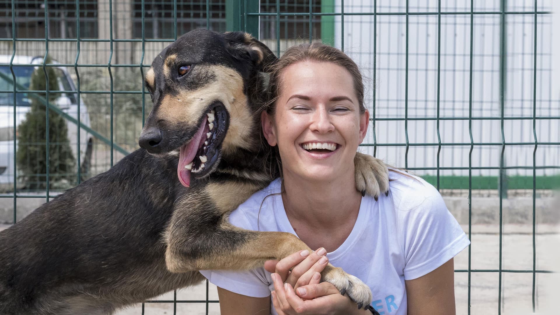 bénévole à la SPA