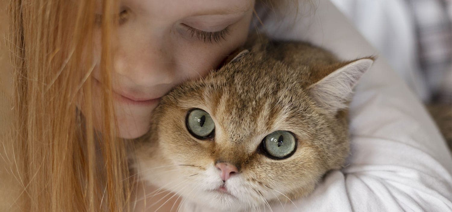 bien-être animal au cp