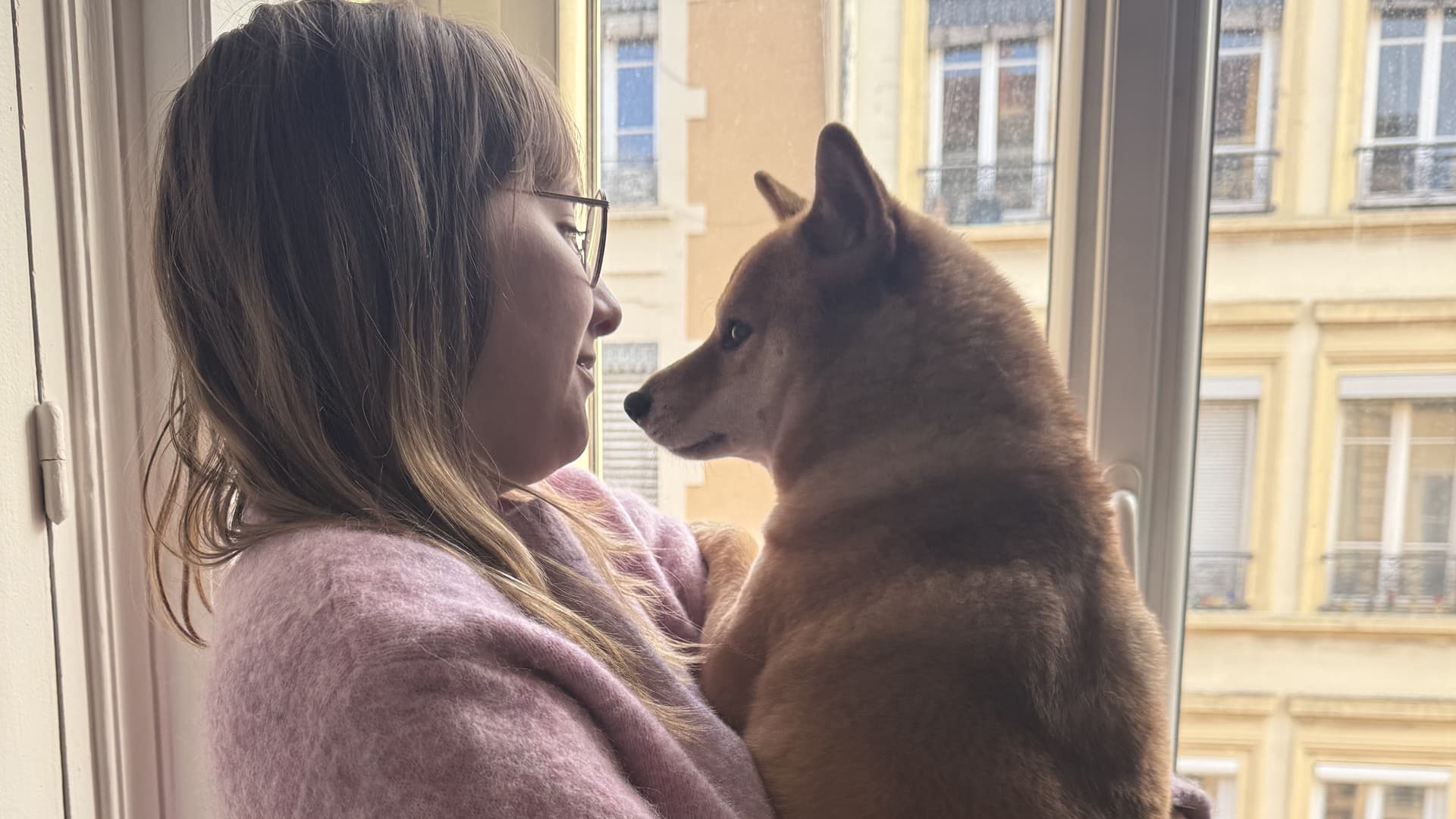 chien en appartement