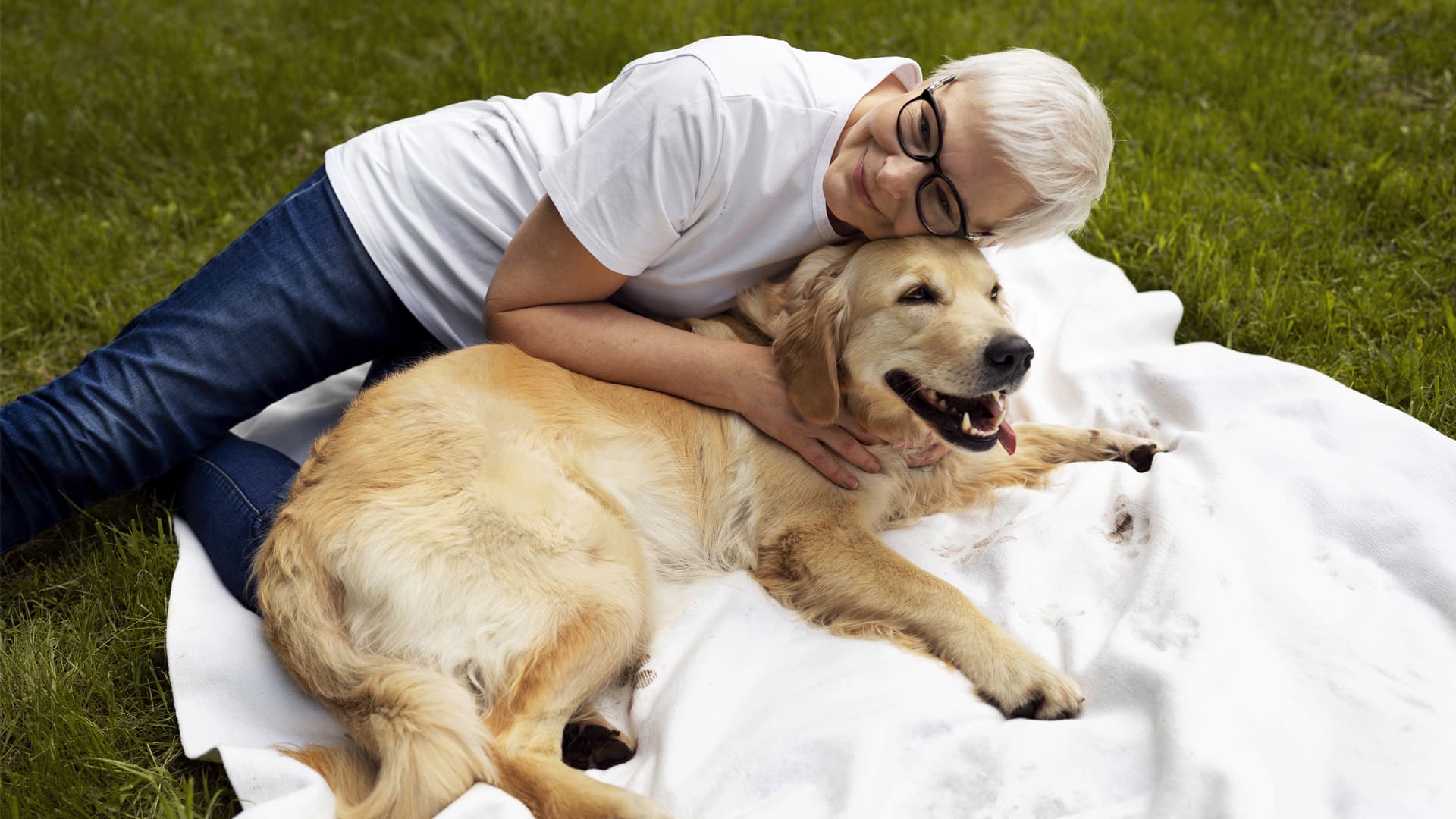 chien retraité d'élevage à adopter