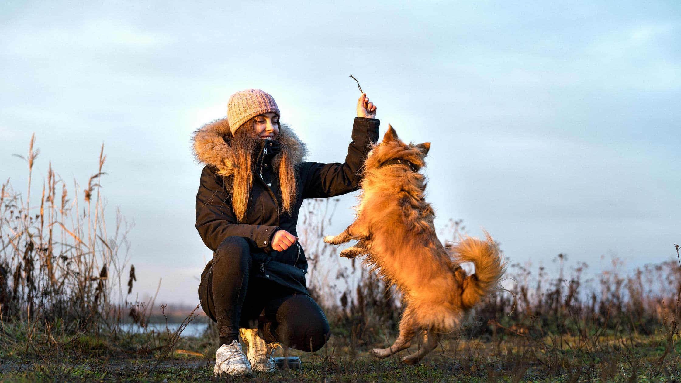 comportementaliste canin paris