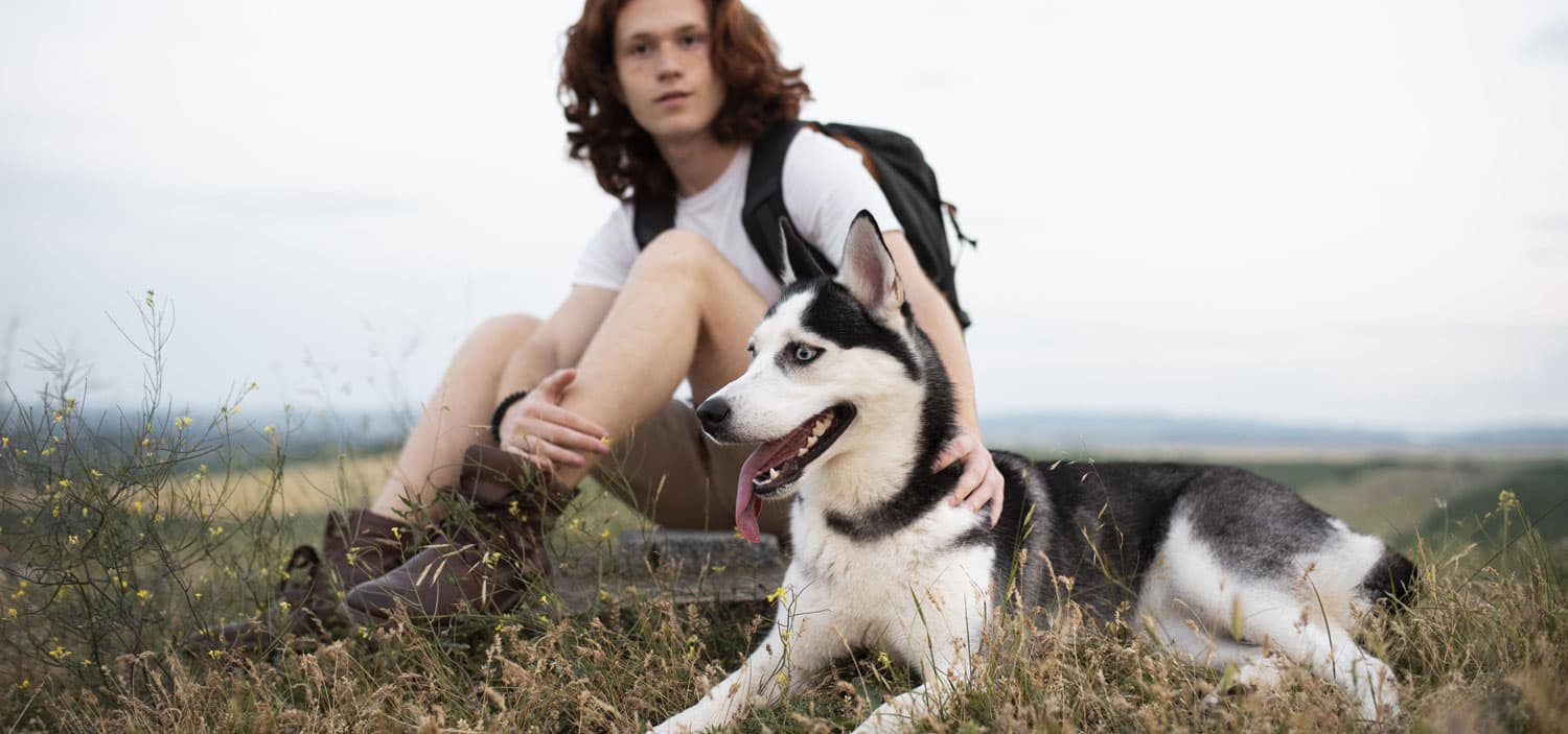 devenir professionnel animalier