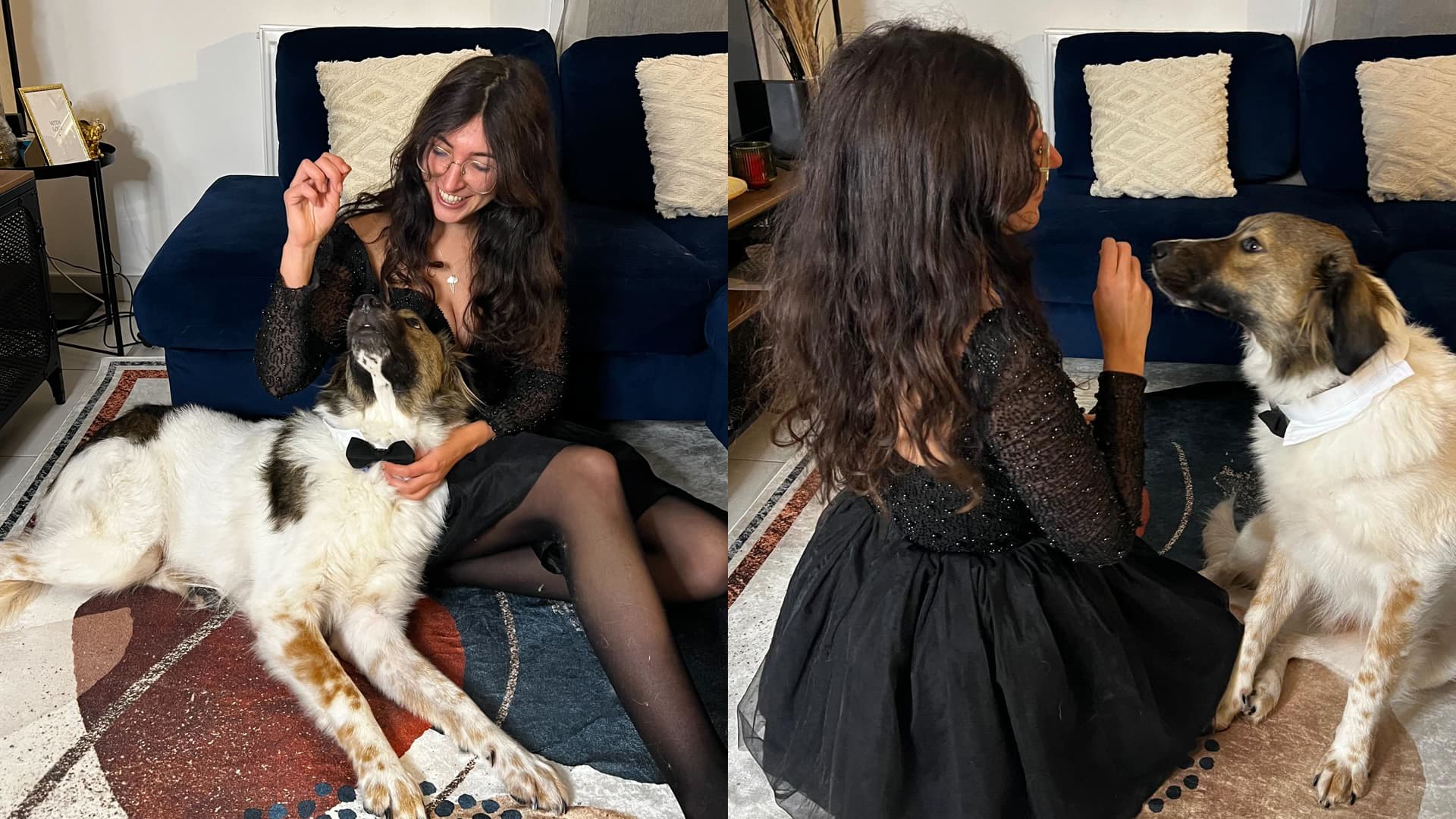 gala chienrité lyon 2025