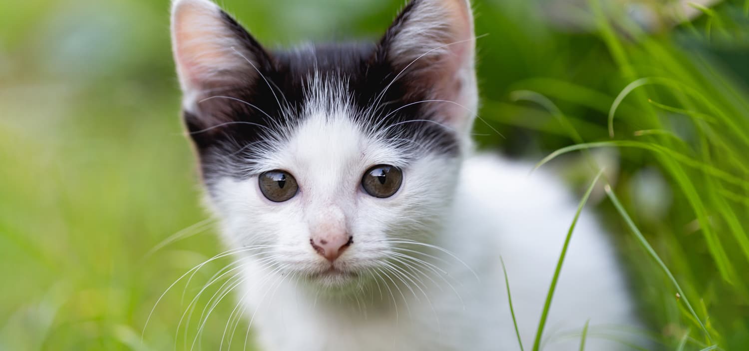 idées de prénoms en B 2026