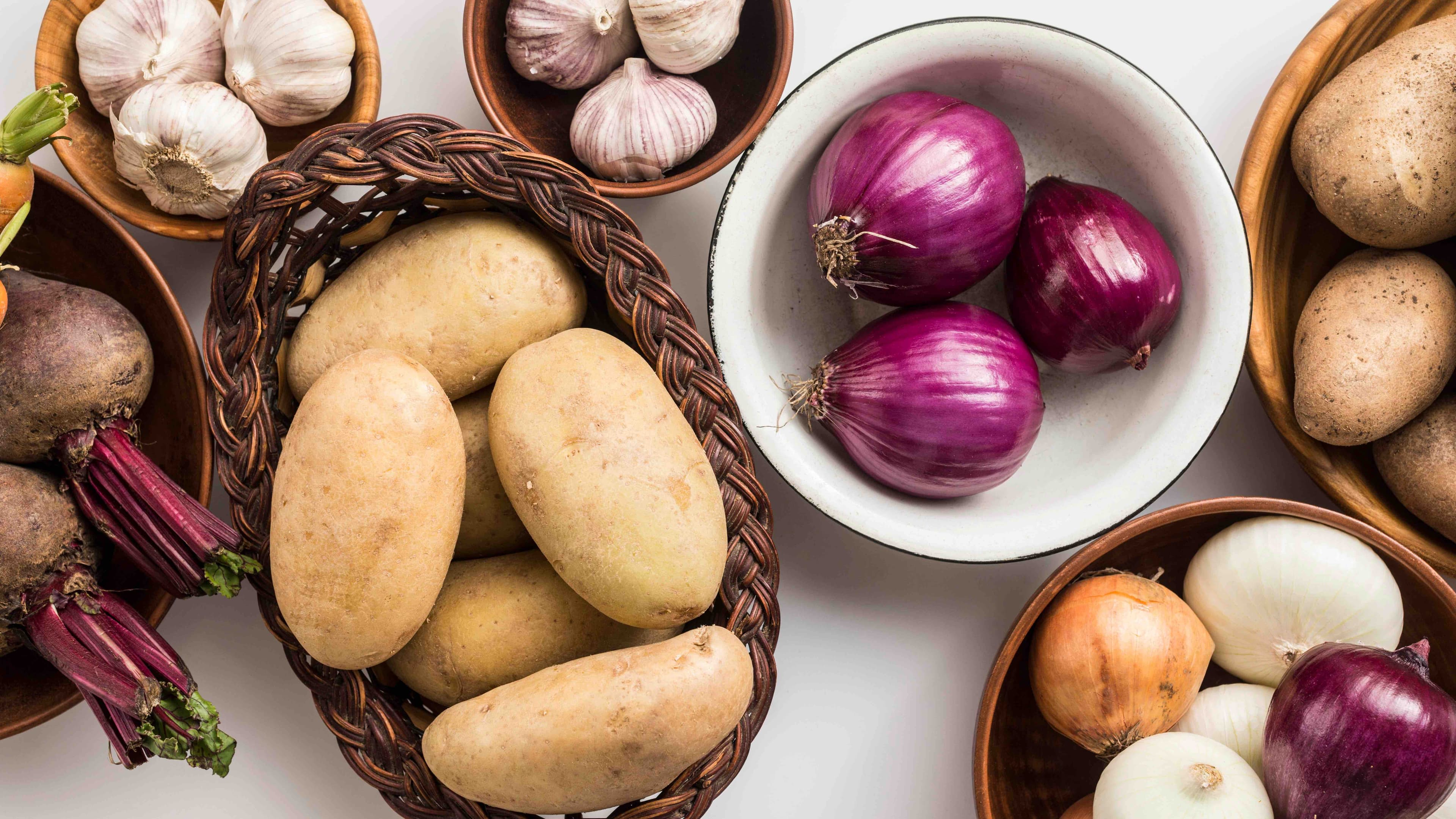 Les aliments interdits aux chiens