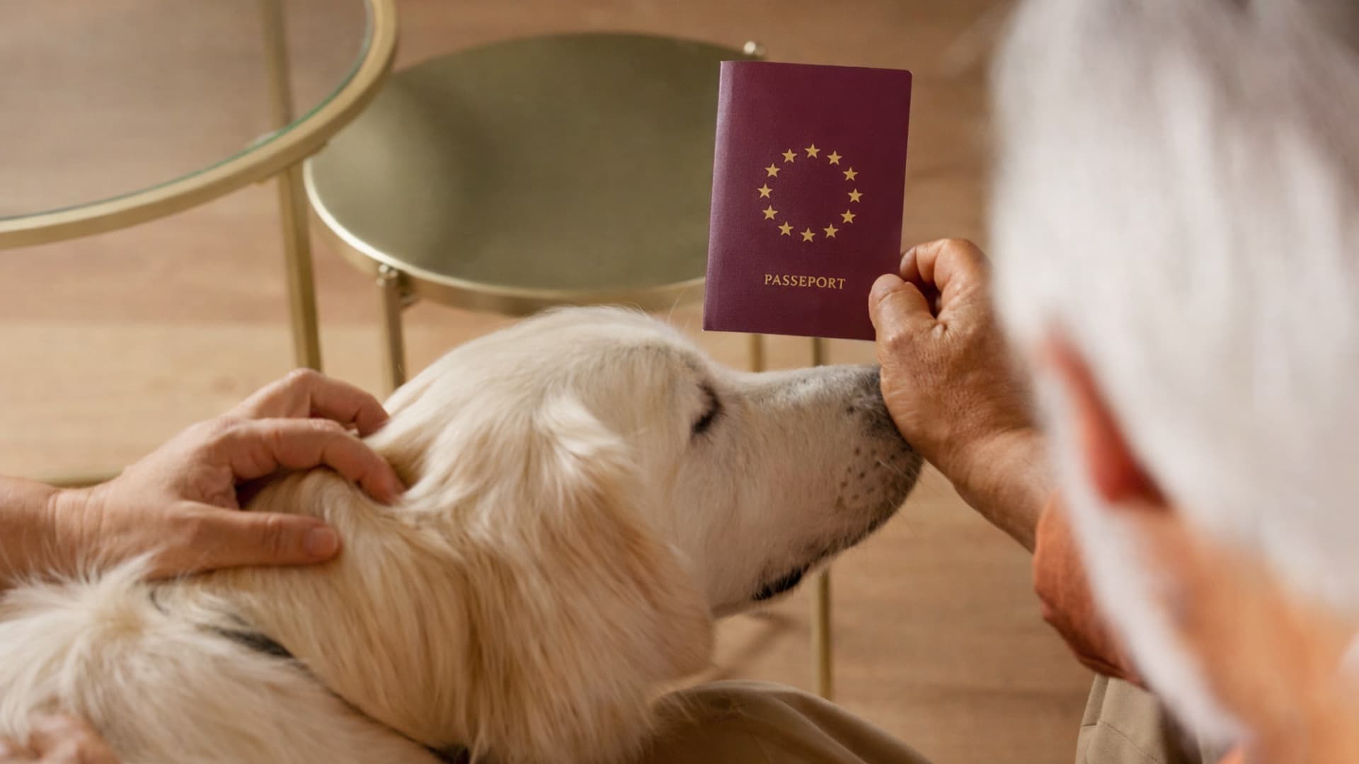 passeport chien prix