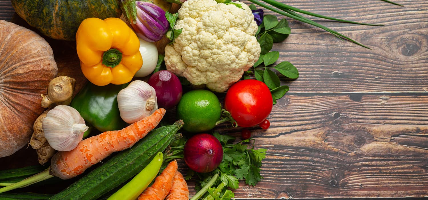 pate pour les chiens