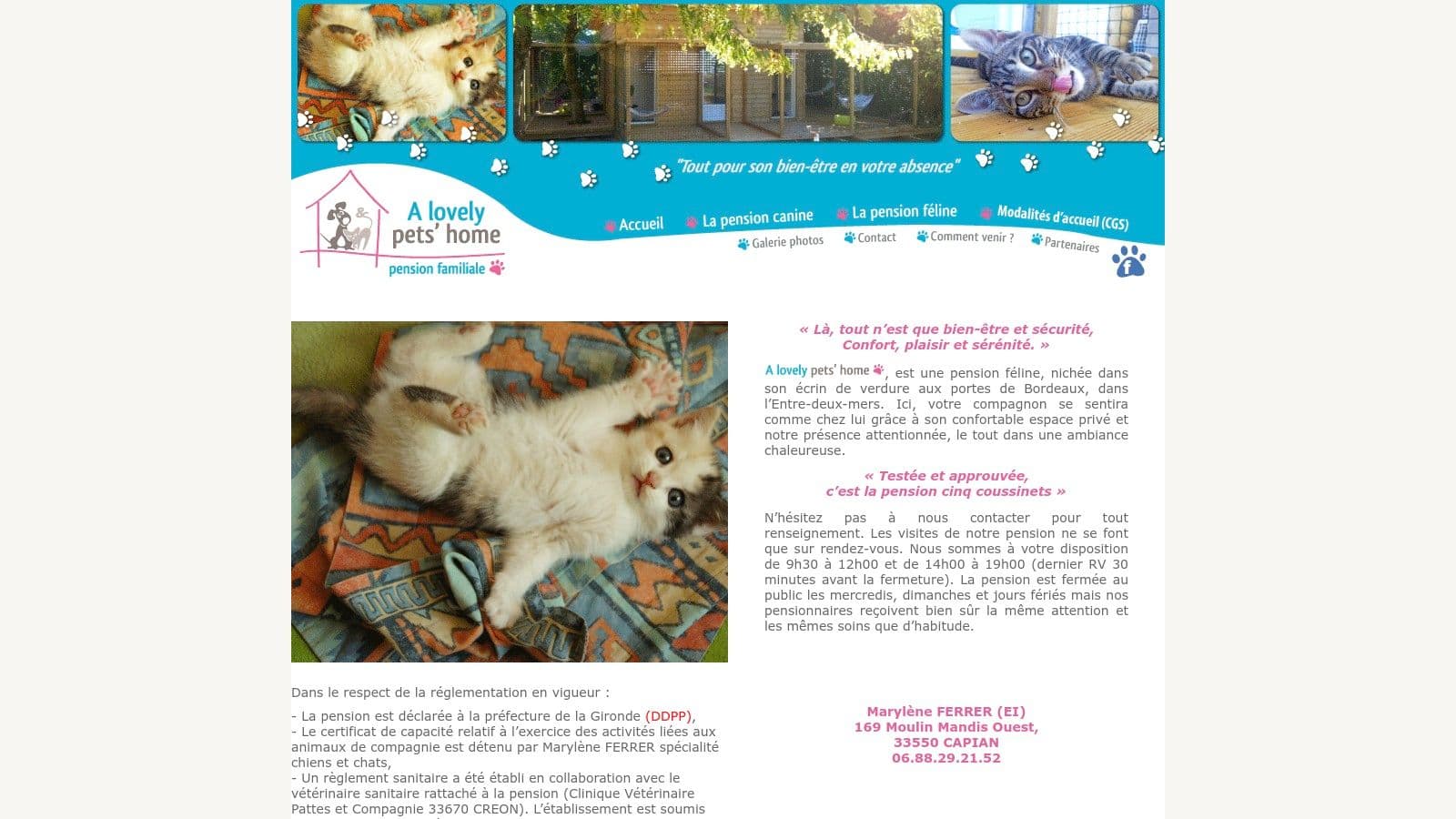 pension chat bordeaux