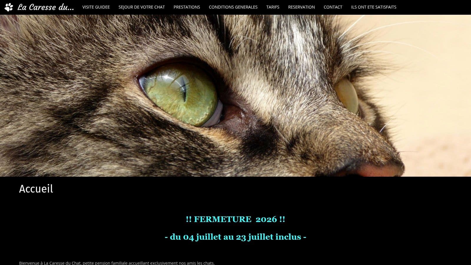 pension pour chat bordeaux