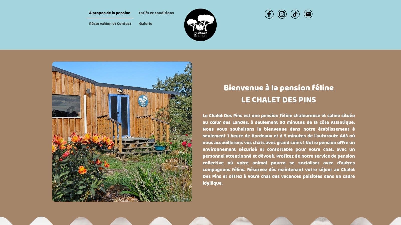 pension pour chats bordeaux