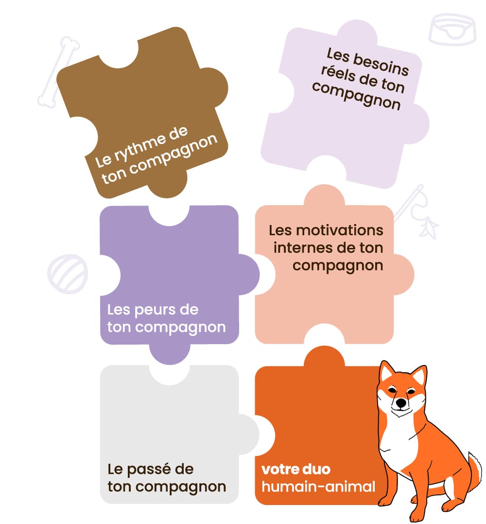 Tu cherches un pro de confiance