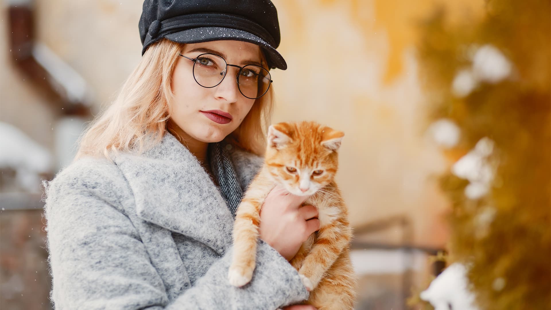 photographe pour chat