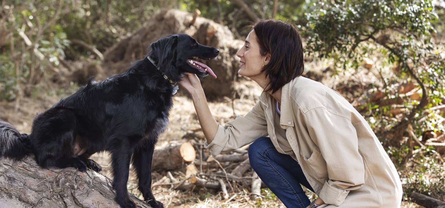 professionnel animalier formation