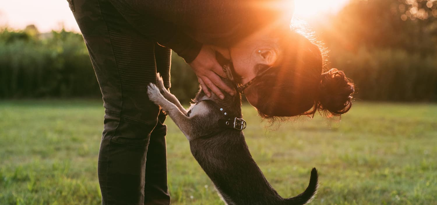 puppy blues définition