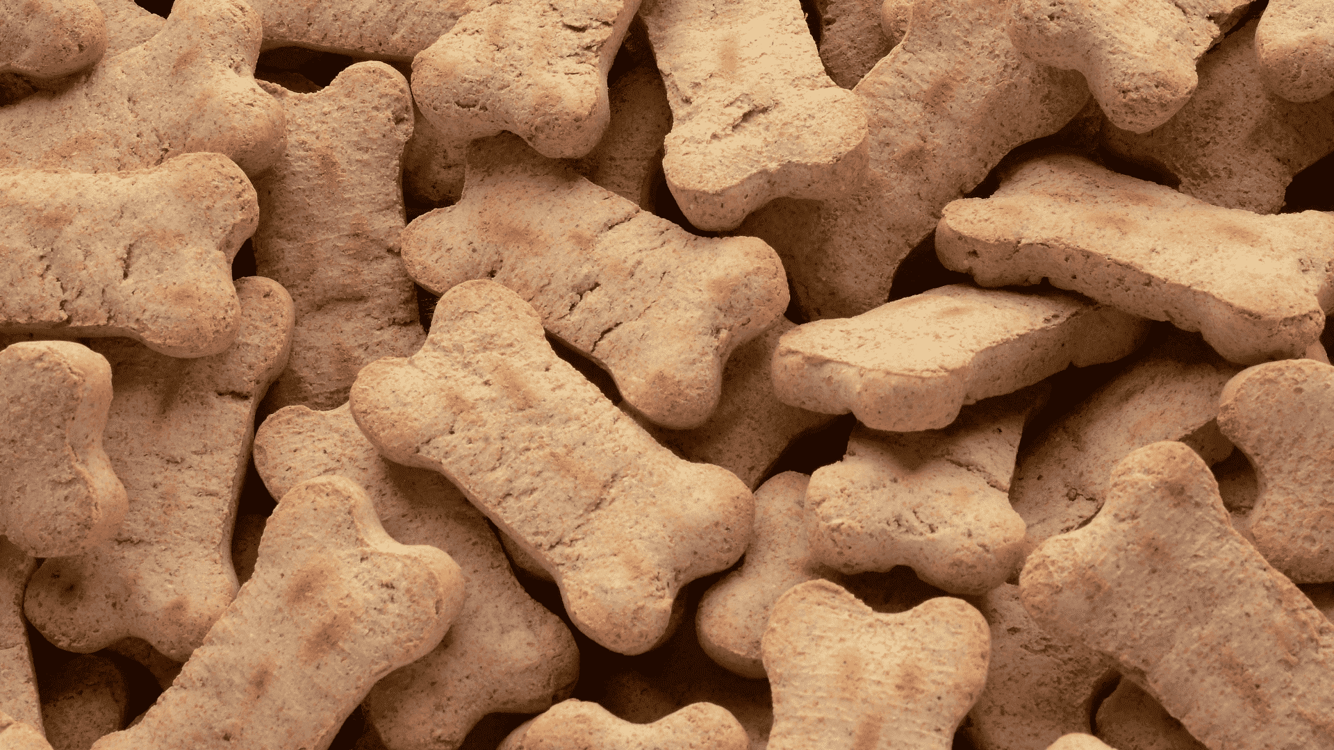 recette de friandises pour chien
