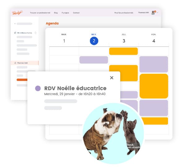 Tu prends rendez-vous sans te prendre la tête