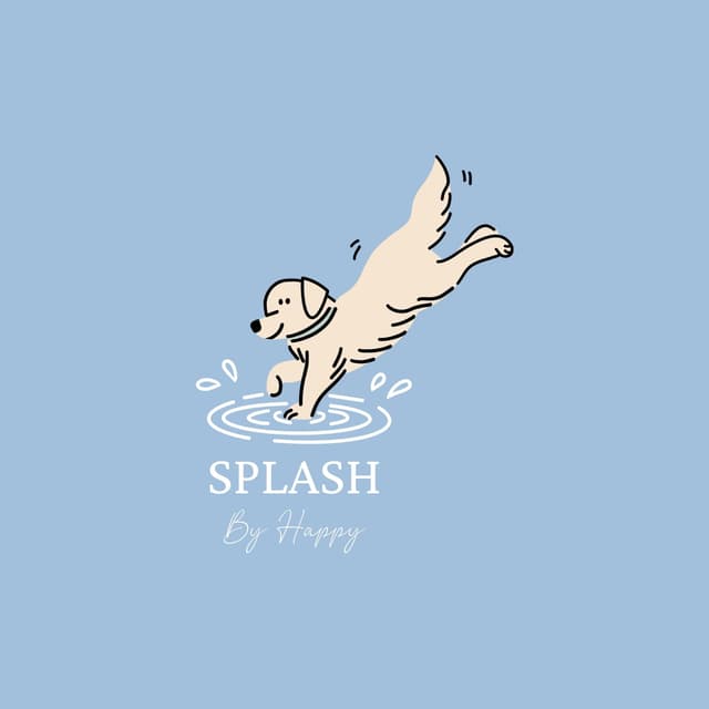 Logo Splash By Happy
