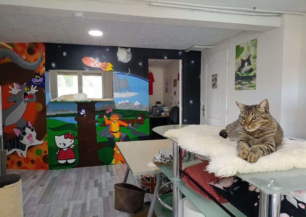 Photo 4 de la galerie