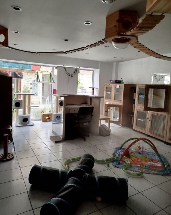 Photo 1 de la galerie