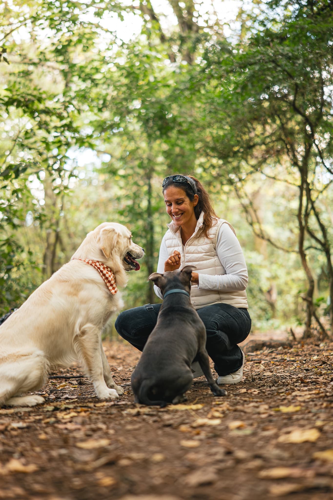 Photo 4 de la galerie