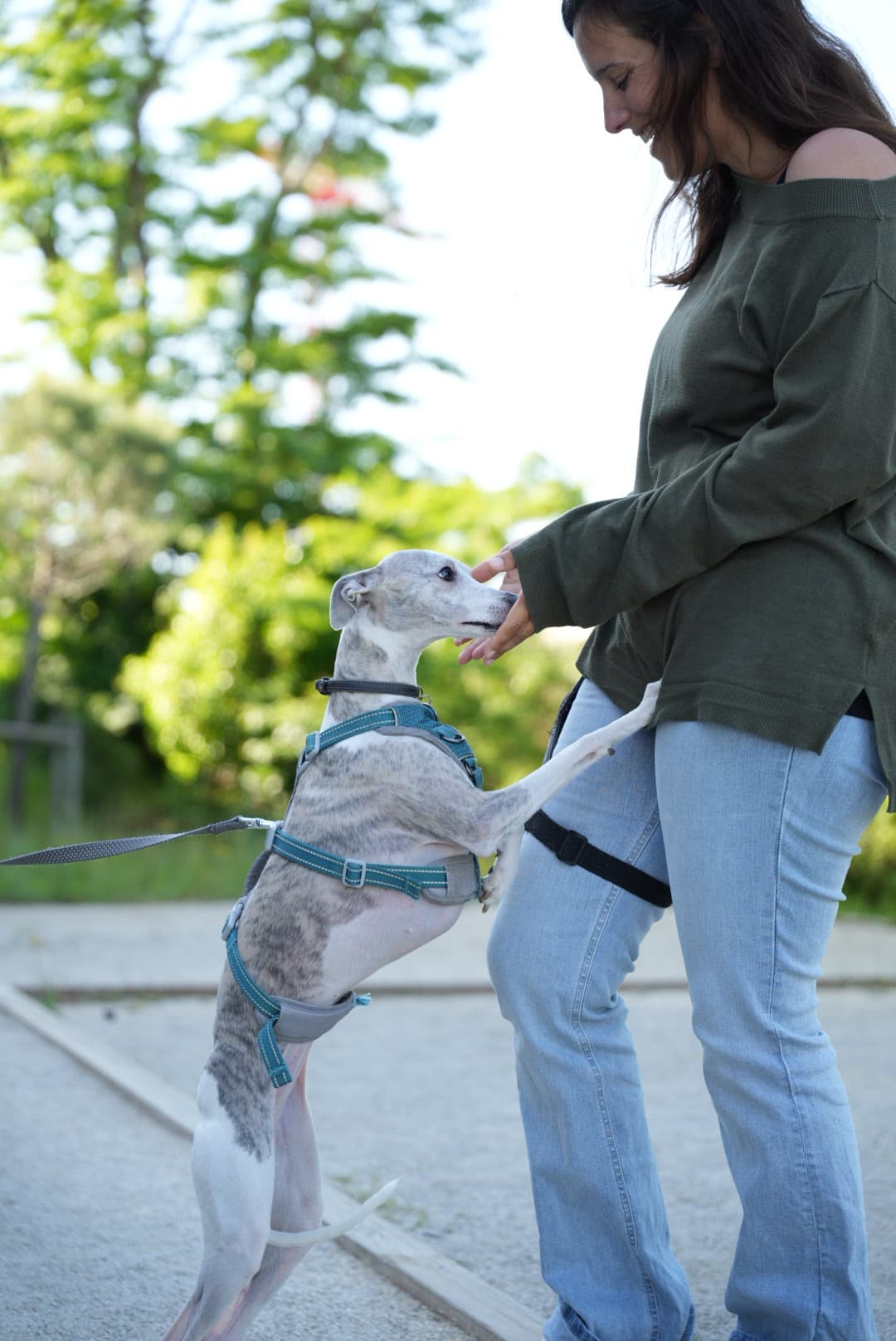 Photo 3 de la galerie