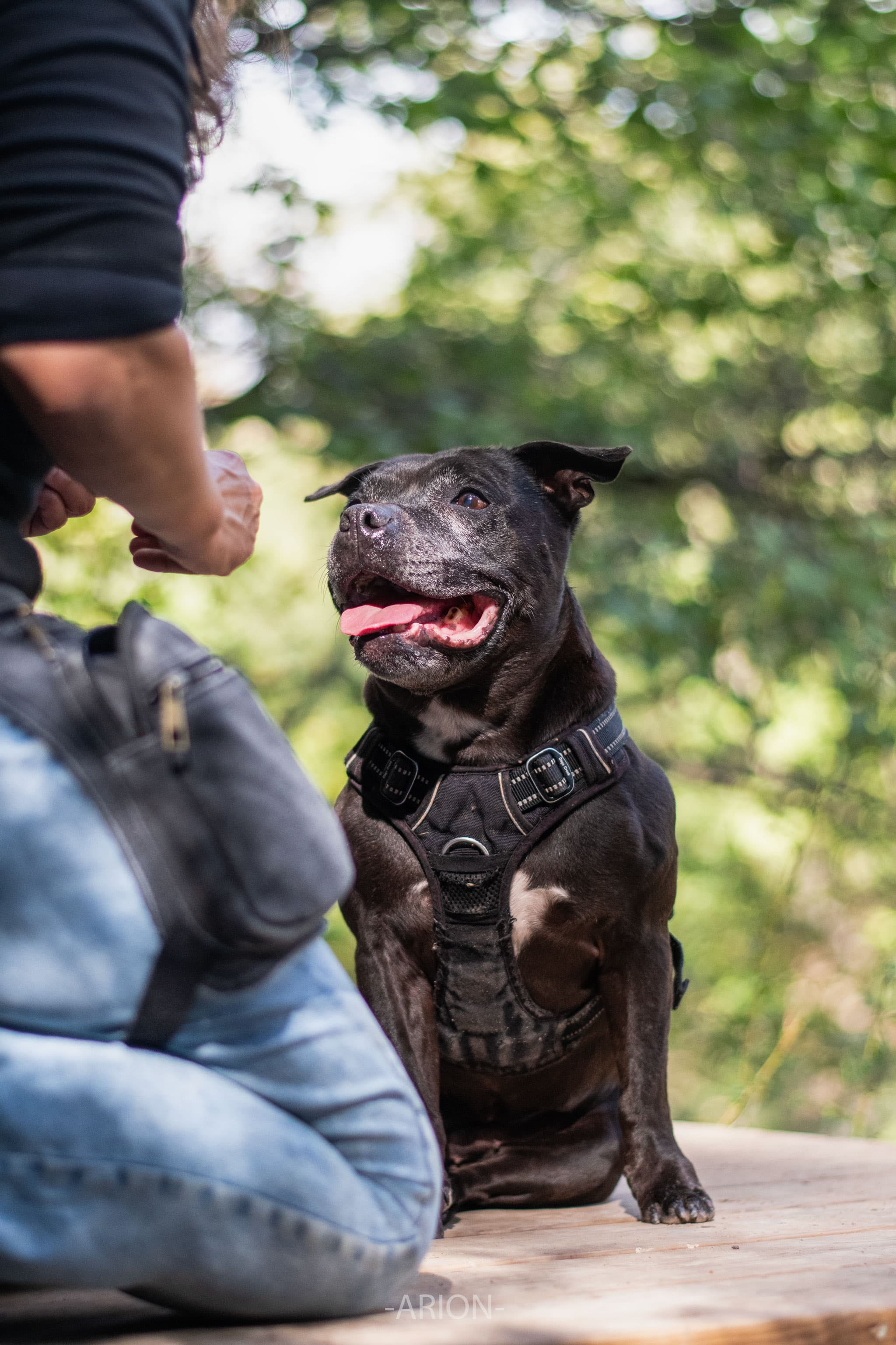 Photo 2 de la galerie