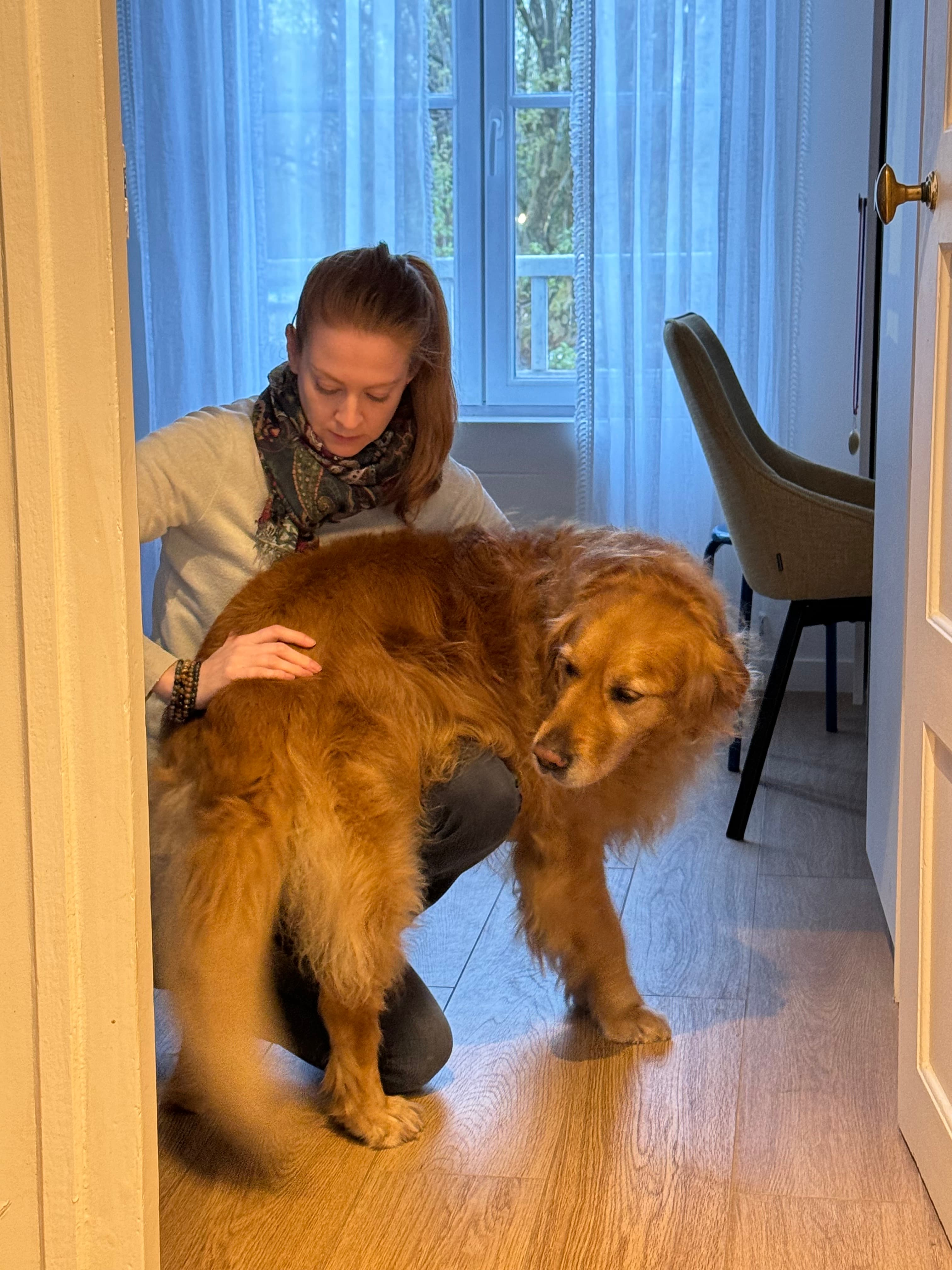 Photo 1 de la galerie