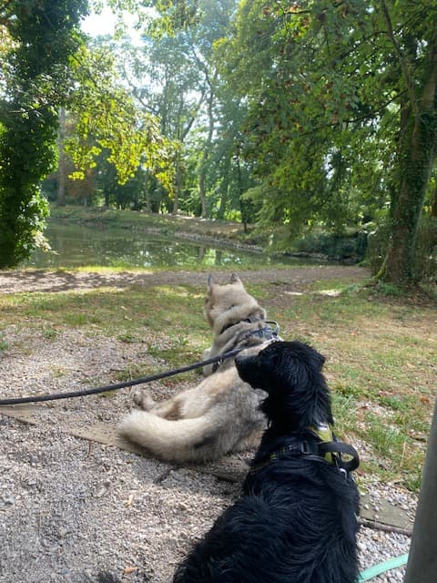 Photo 5 de la galerie