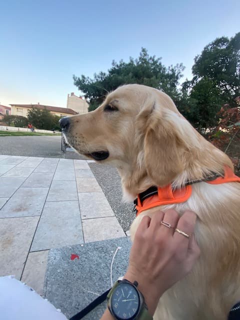 Photo 2 de la galerie