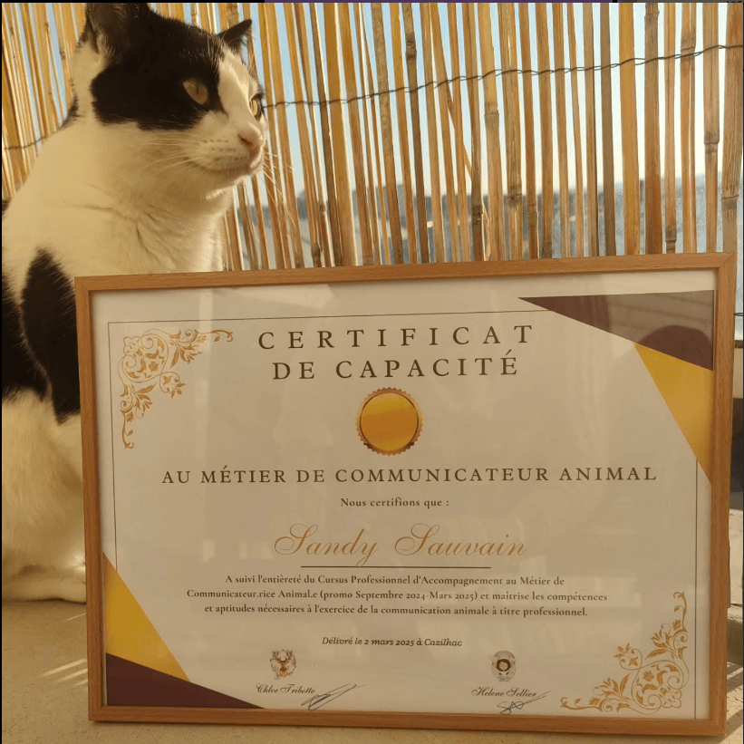 Photo 1 de la galerie