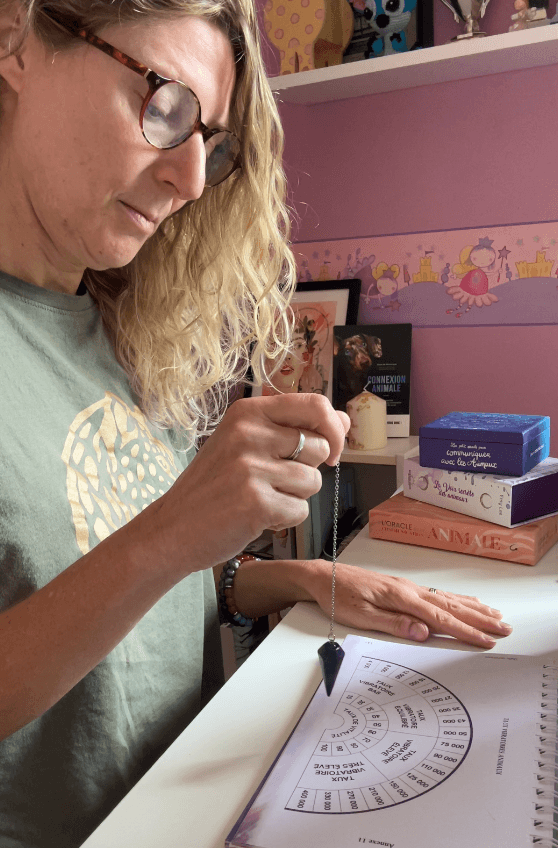 Photo 8 de la galerie