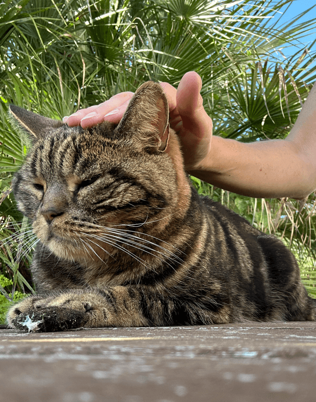 Photo 7 de la galerie