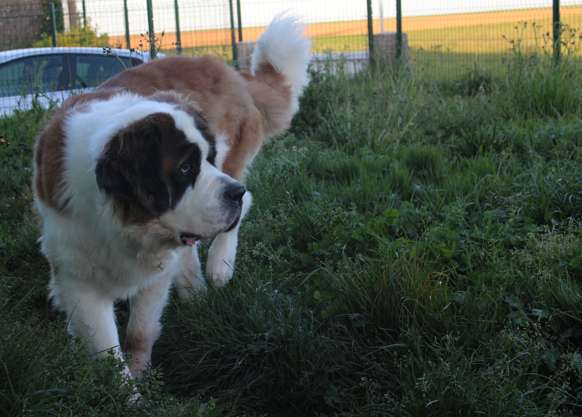 Bannière de Toutougether