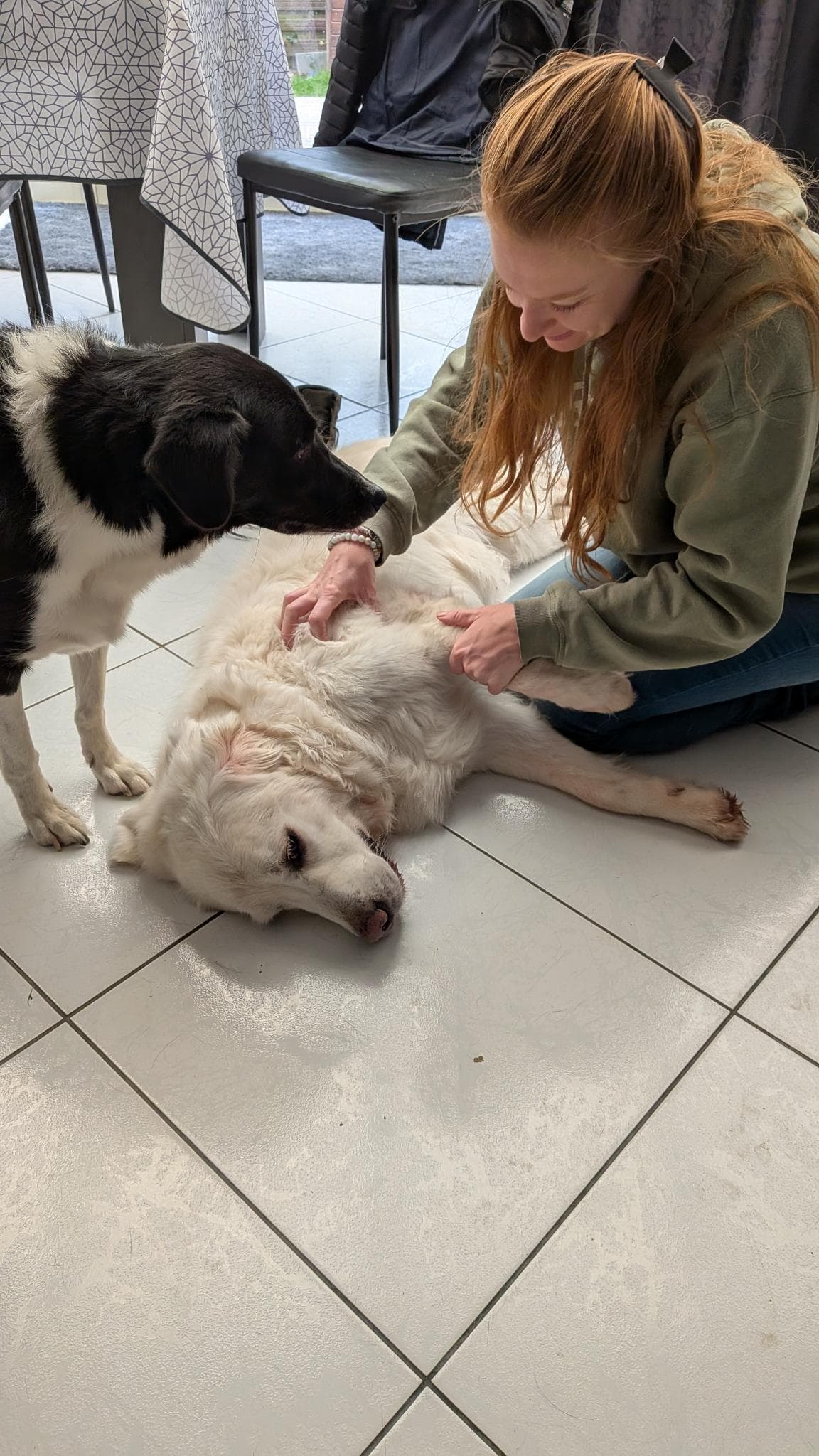 Bannière de Shiriqi