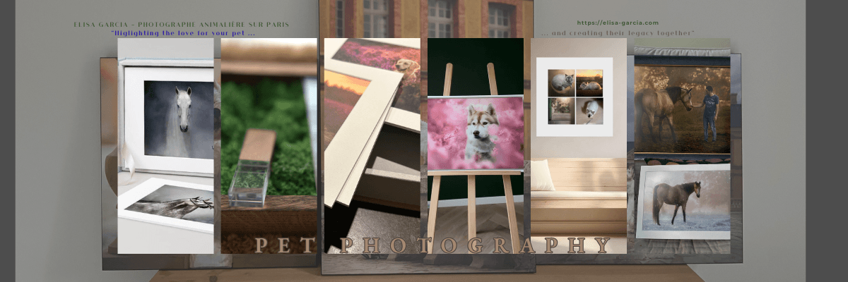 Bannière de Elisa Garcia