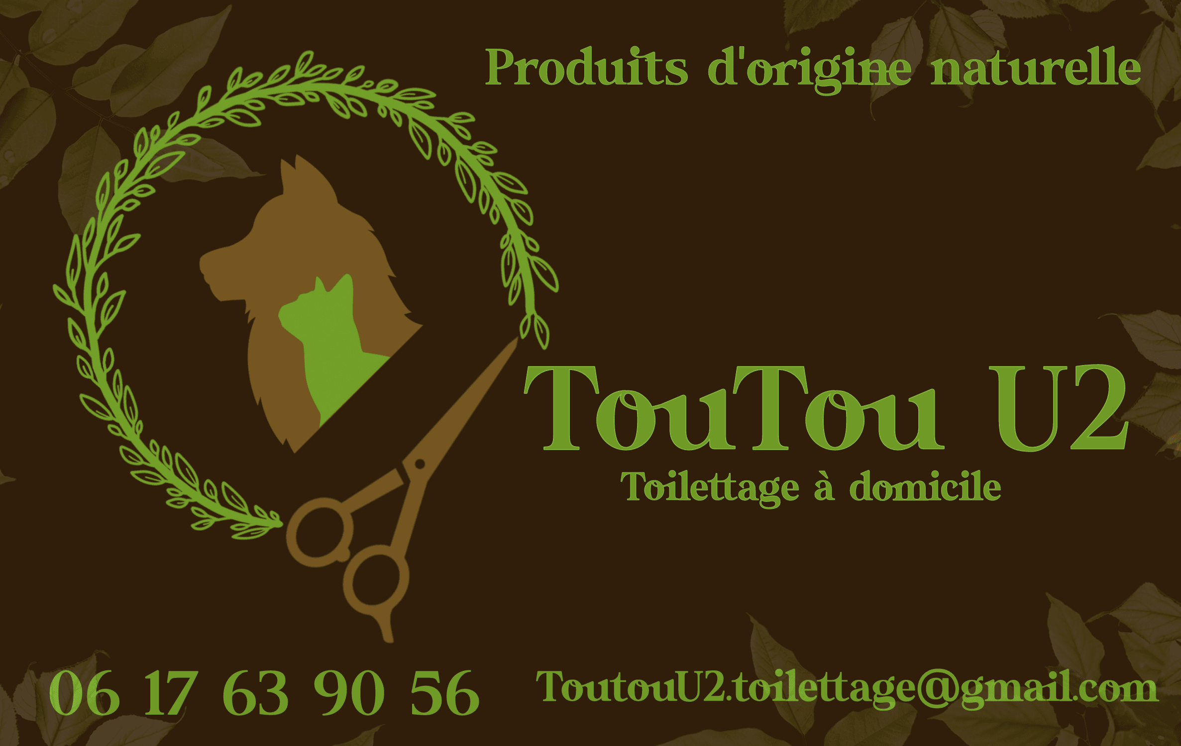 Bannière de Toutou U2 Toilettage 