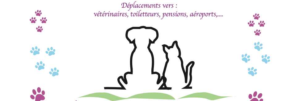 Bannière de LOPEZ Eléna Entreprise individuelle taxi animalier