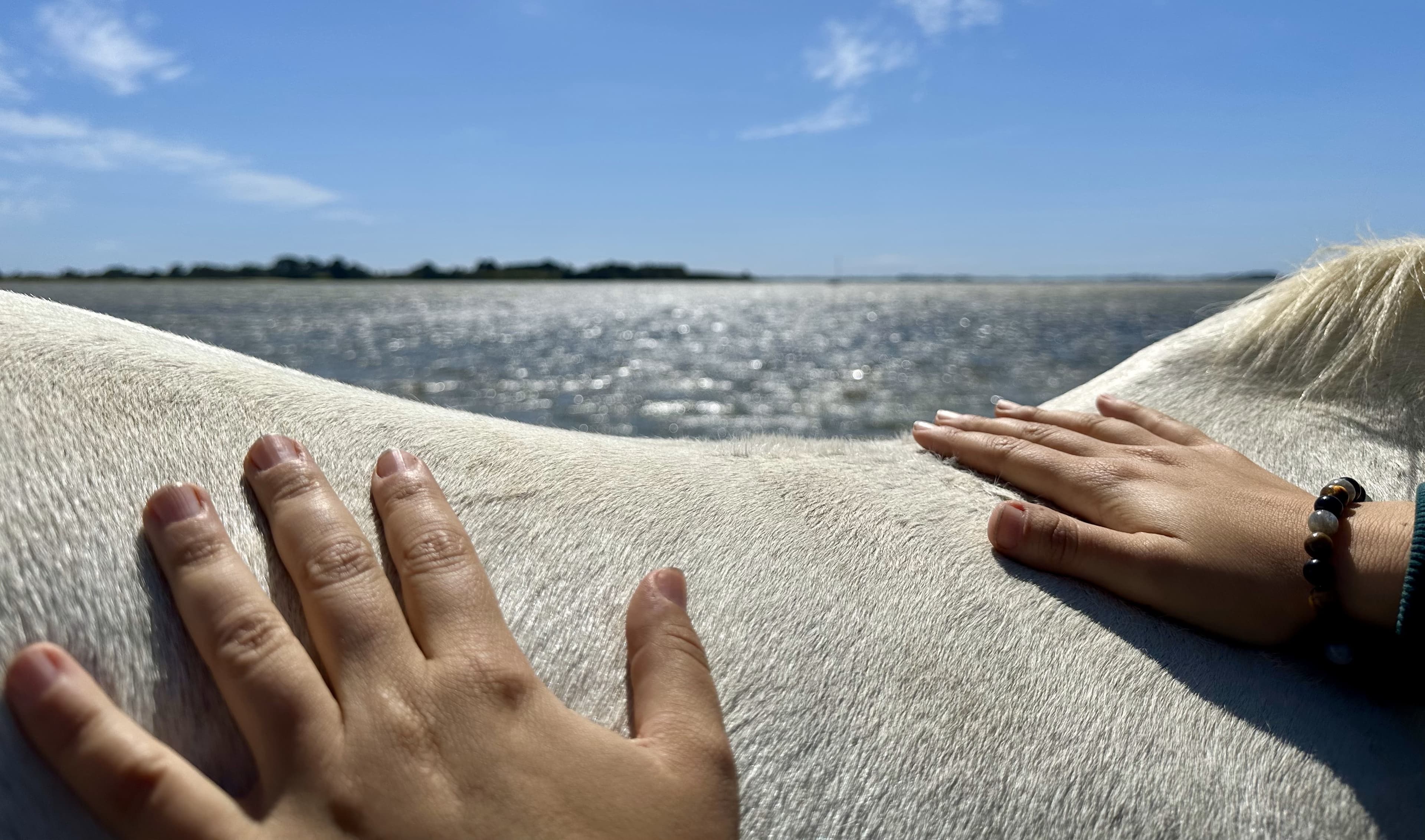 Bannière de Triss'Care