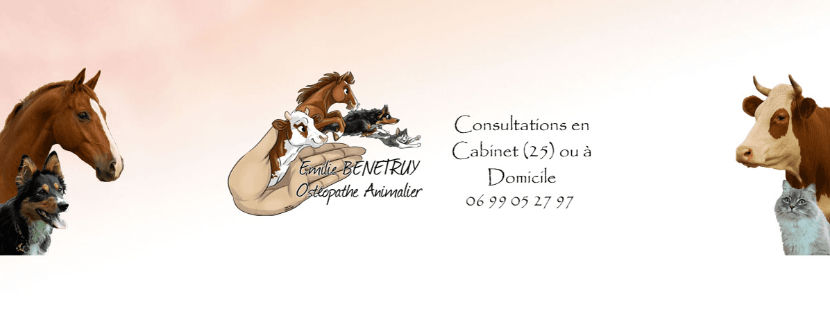 Bannière de Emilie BENETRUY, Ostéopathe Animalier