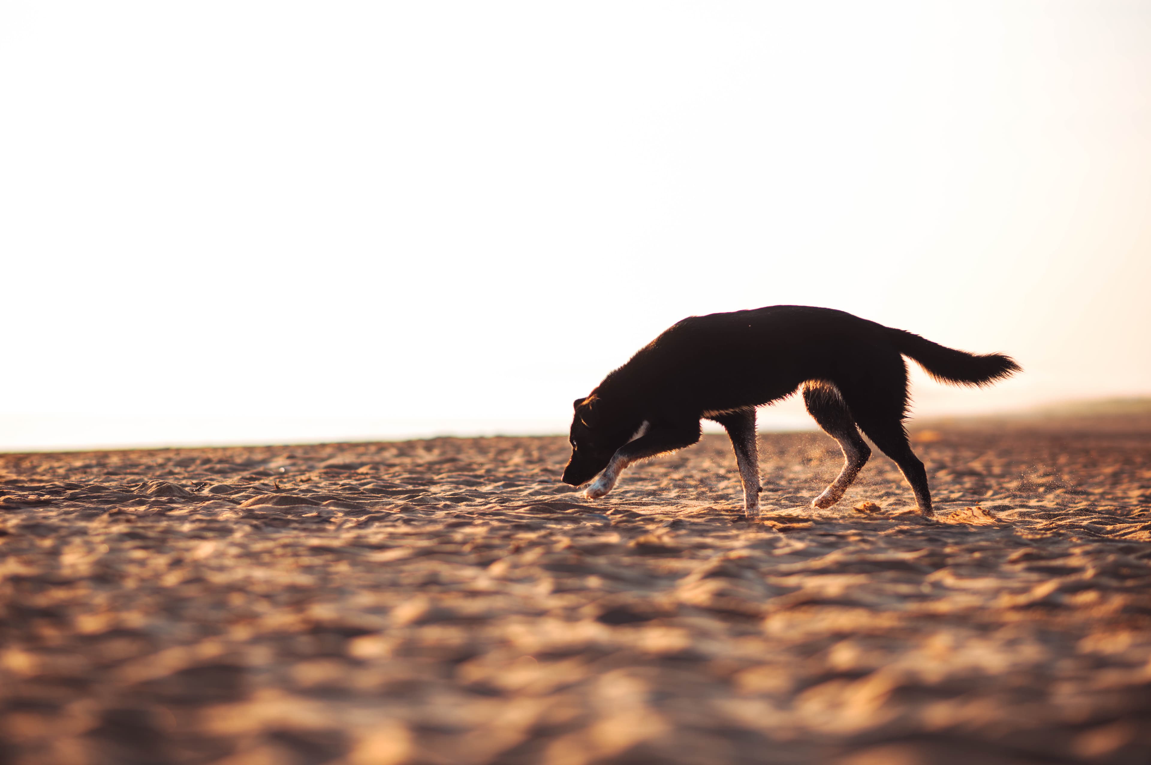Bannière de Cindy Obitz