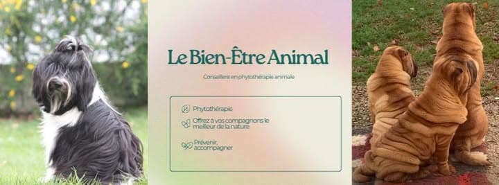 Bannière de Per Chang Pa Tribu au Naturel