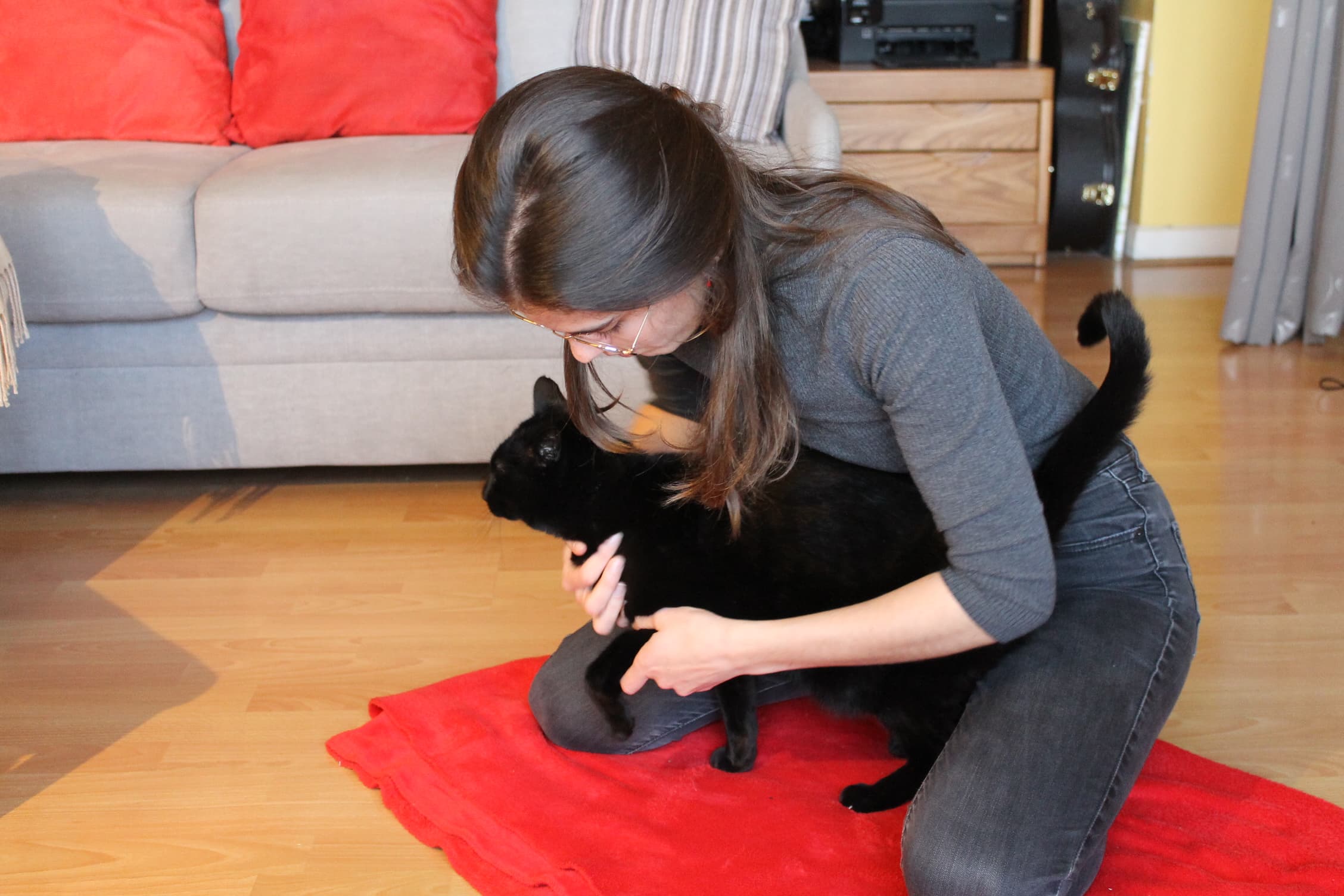 Bannière de Johanna Mielle - Ostéopathe Animalier