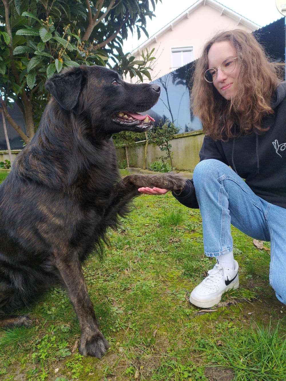 Bannière de Amour de pattes