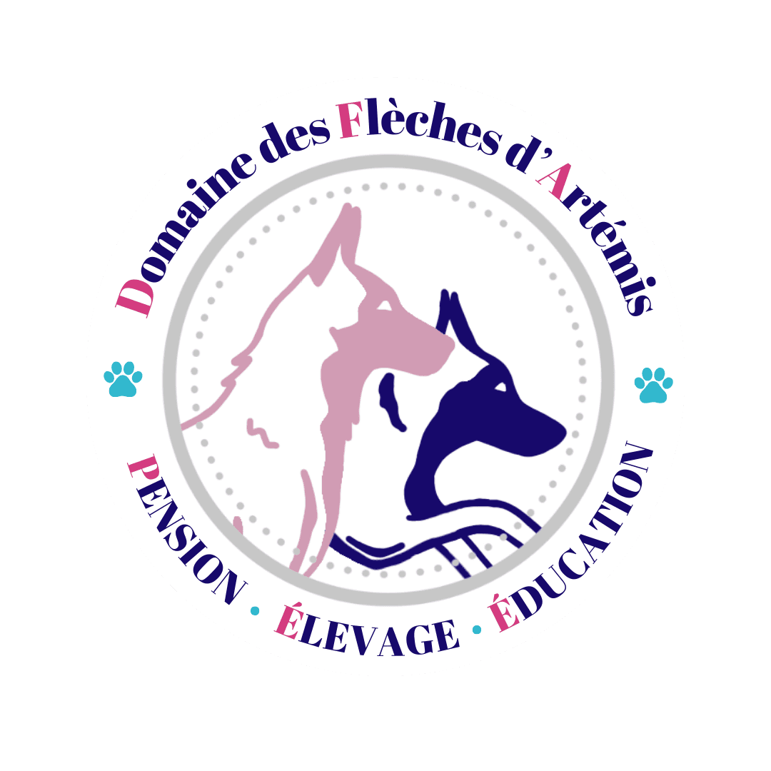 Clémence Giorgi Méténier