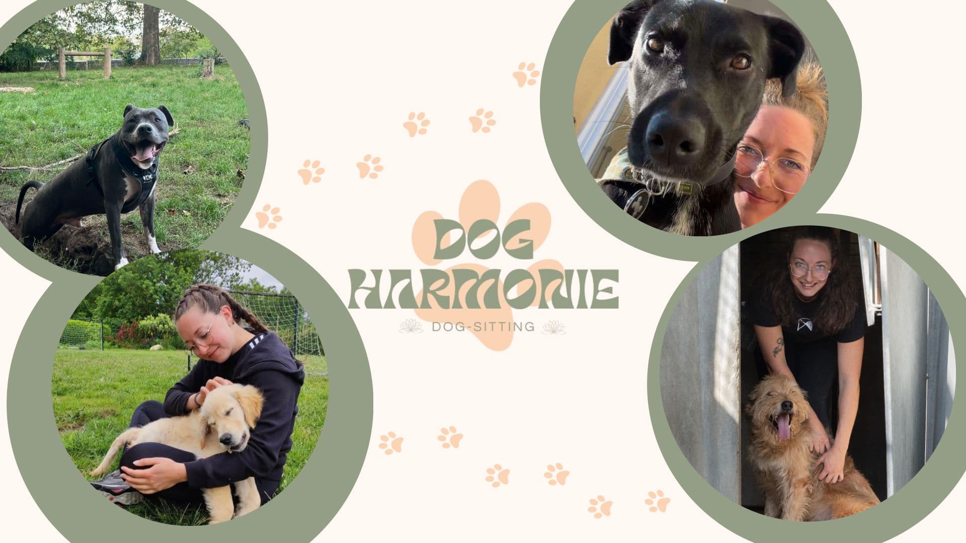 Bannière de Dog Harmonie