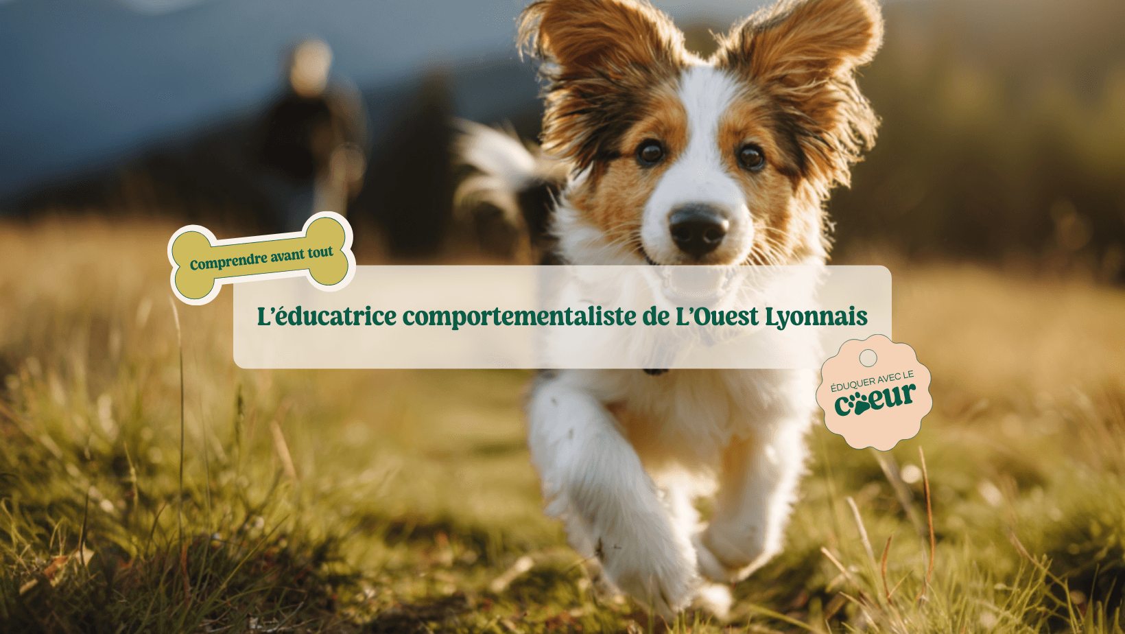 Bannière de L'ECOL L'Educatrice Comportementaliste de L'Ouest Lyonnais