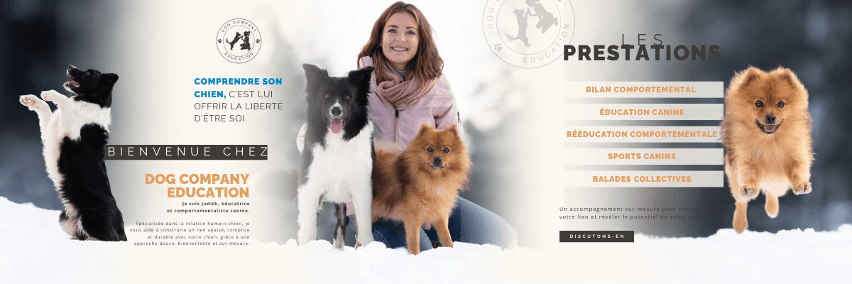 Bannière de DOG COMPANY