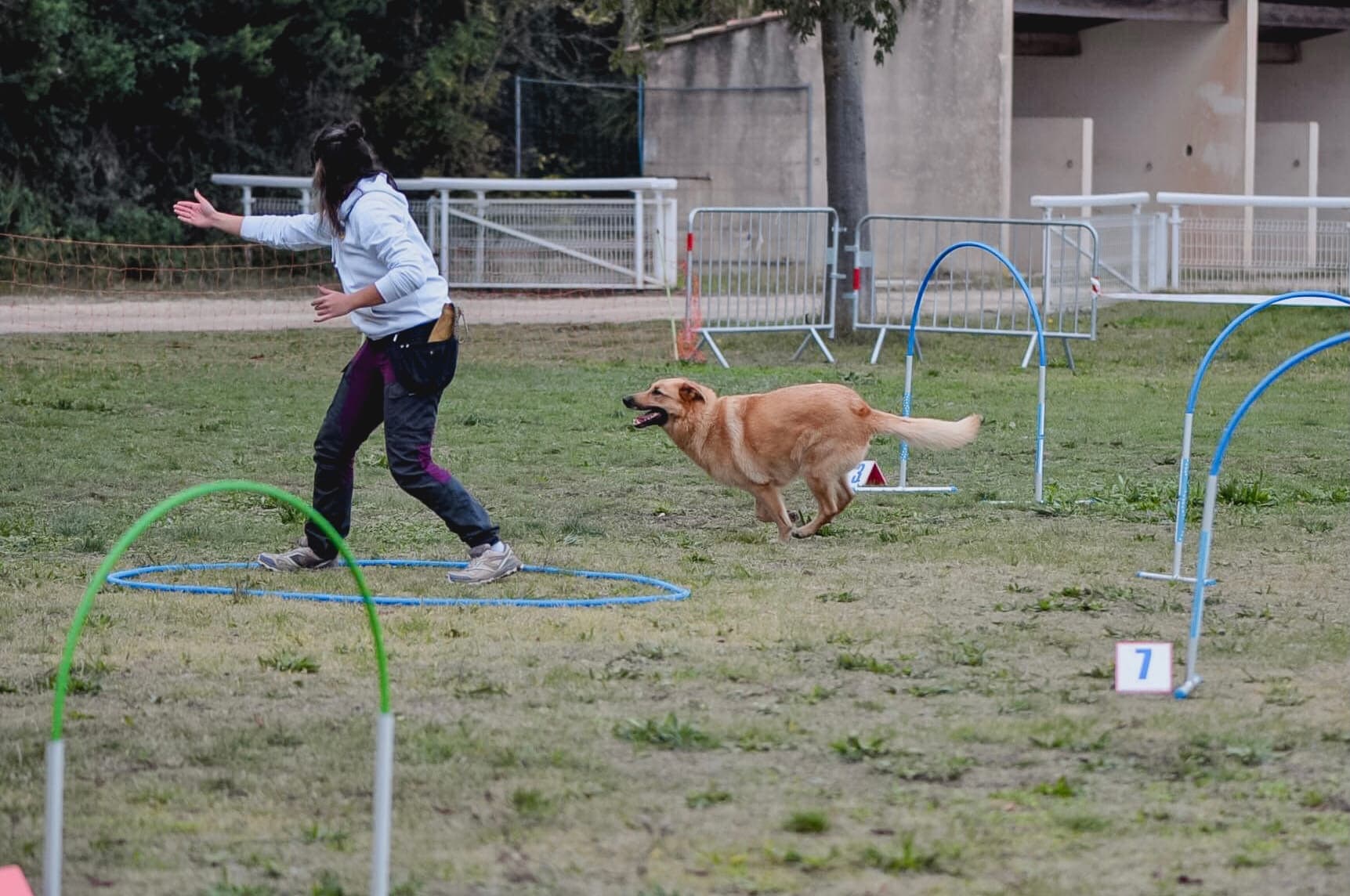 Bannière de Motiv'Canine