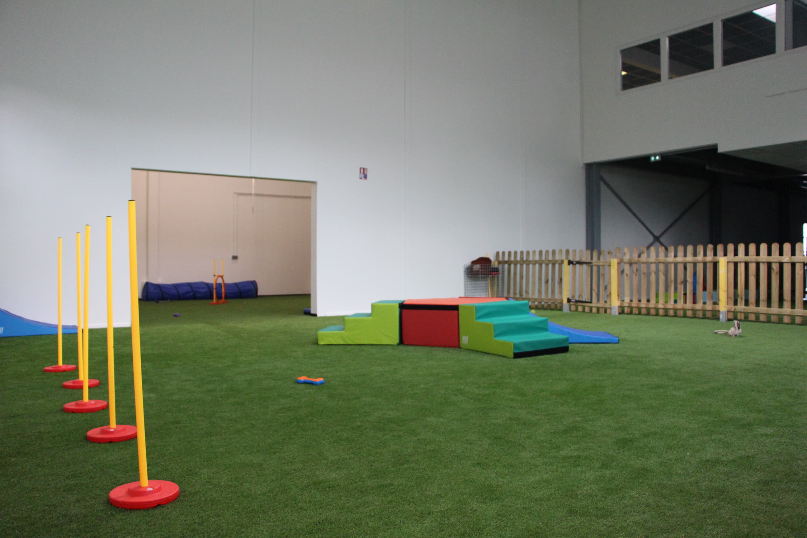 Bannière de Dog-Day Club